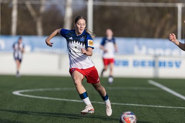 Bild 391 - wBJ Hamburger SV - Hertha BSC : Ergebnis: 2:1